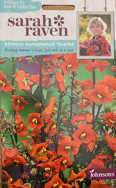 Alonsoa warscewiczii Scarlet