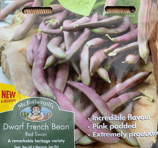 dwarf french beans