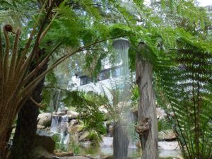 an outdoor shower beneath towering ferns