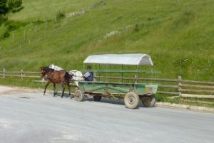 horse pulling cart in Transylvania