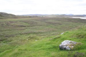 view over peat bog