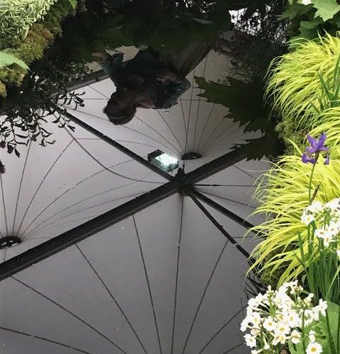 chelsea flower show 2018