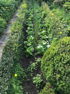 potager, neat garden border